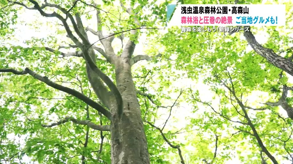 【特集】青森を楽しもう！新緑シリーズ　浅虫温泉森林公園・高森山　森林浴とご当地グルメ！