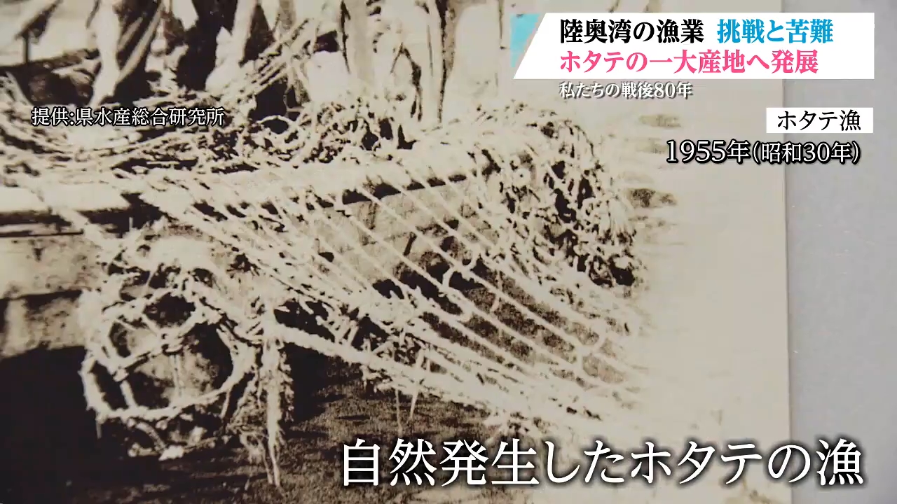 私たちの戦後80年】自然発生から始まった？『タマネギ袋』で飛躍