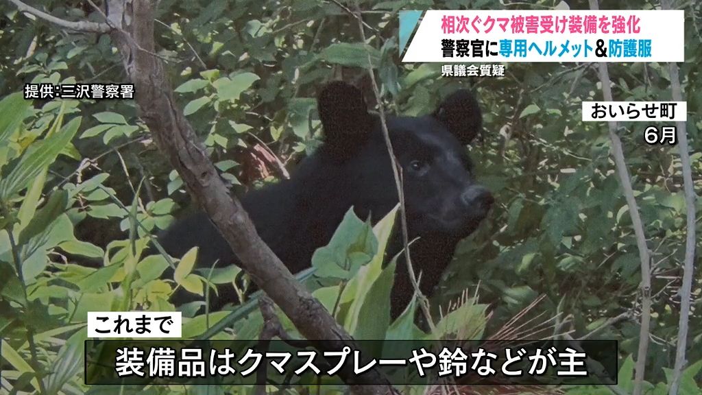 相次ぐクマ被害で他県では受傷事案も…　警察官の装備増強へ　猟友会は対象外　　青森県警察本部