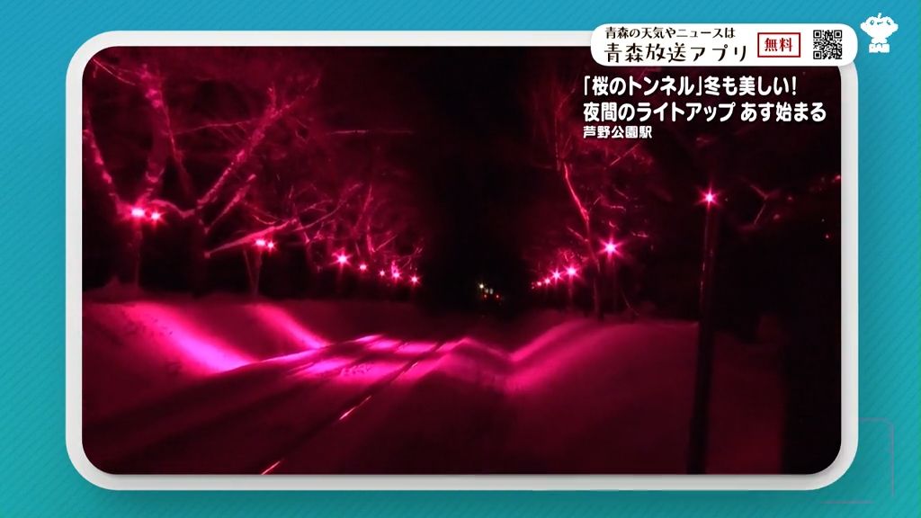 冬の夜にしか見られない「桜のトンネル」春の桜に負けない美しさ　21日から芦野公園駅で開始　青森県五所川原市