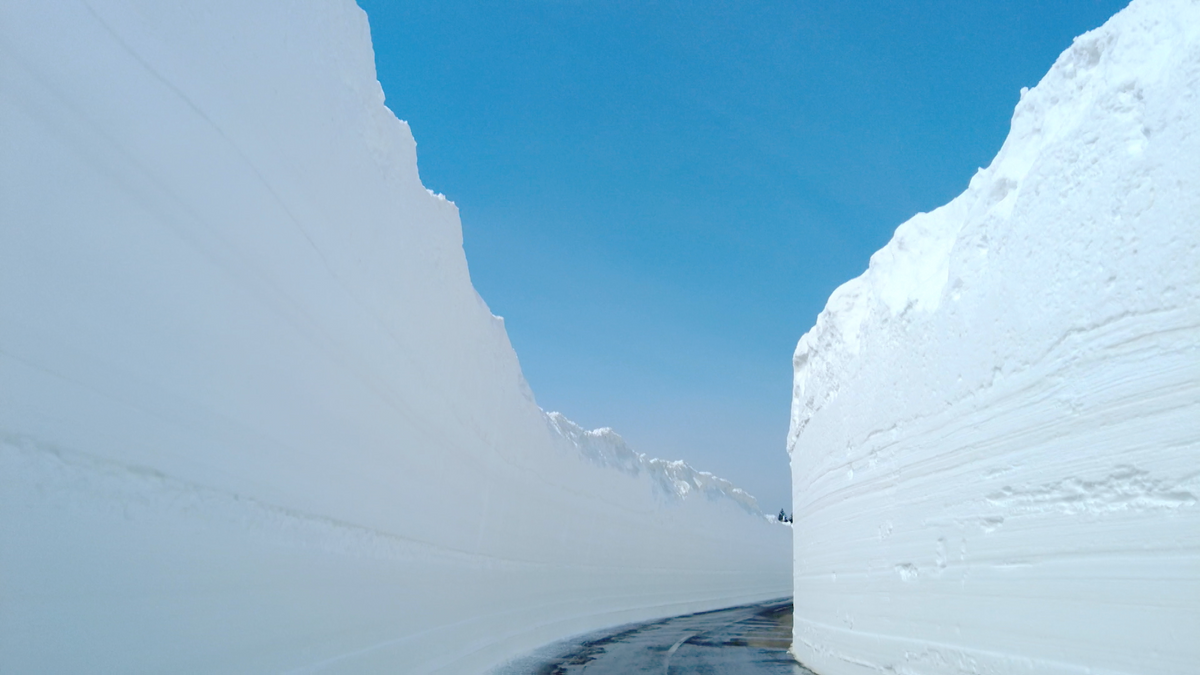 「全然違う」八甲田の除雪に3Ｄ地図を初めて活用！最大8メートル“雪の回廊”貫通へ…春を掘る