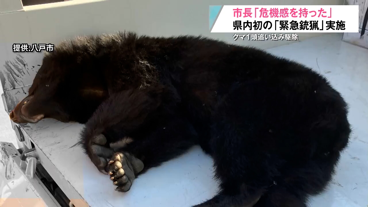 やむをえない対応であった」大型商業施設や公民館の近くにクマ出没で
