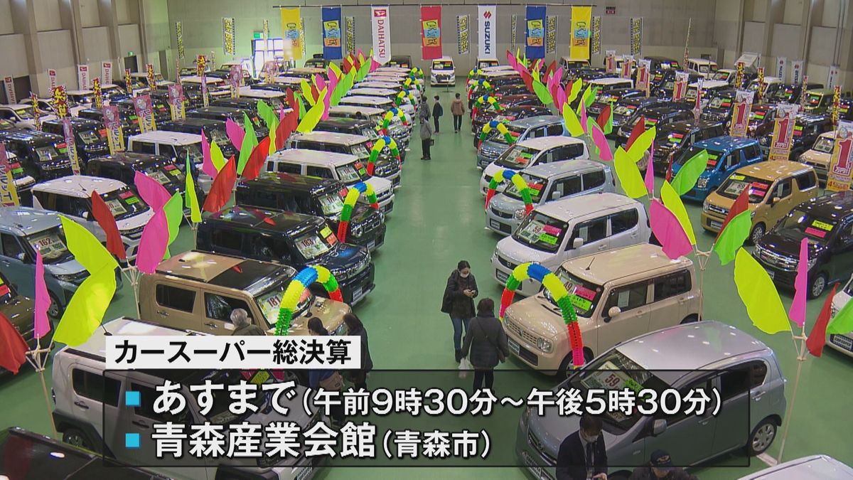 なんとか頑張れそうな価格だと思います」未使用車・中古車の展示即売会 