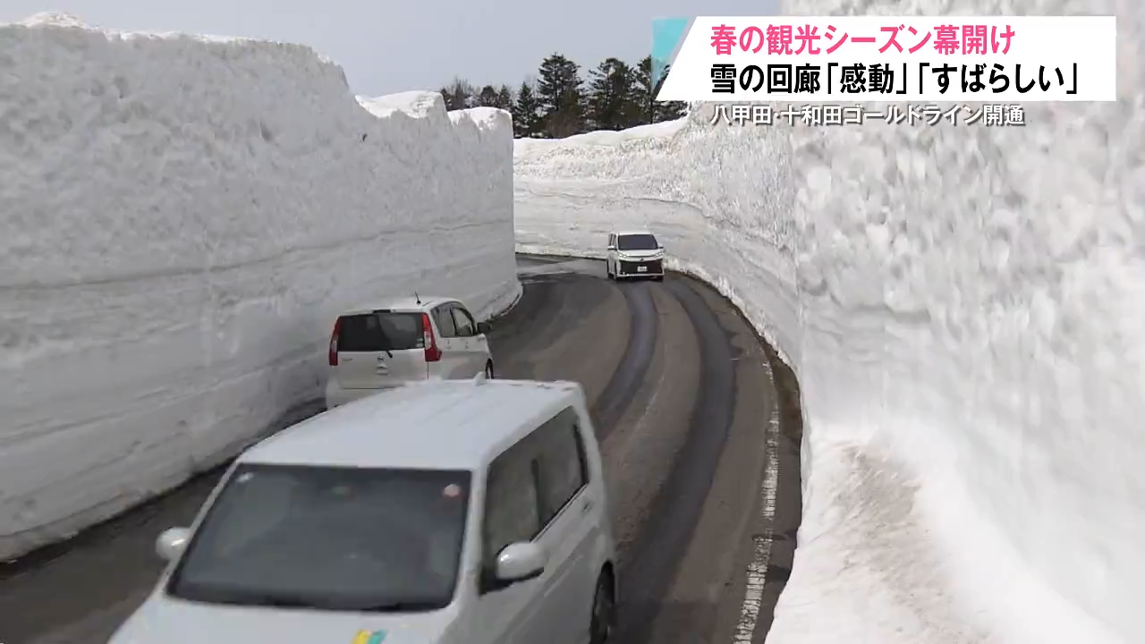 青森の春呼ぶ「一番バス」 八甲田・雪の回廊が開通 乗客の9割が外国人