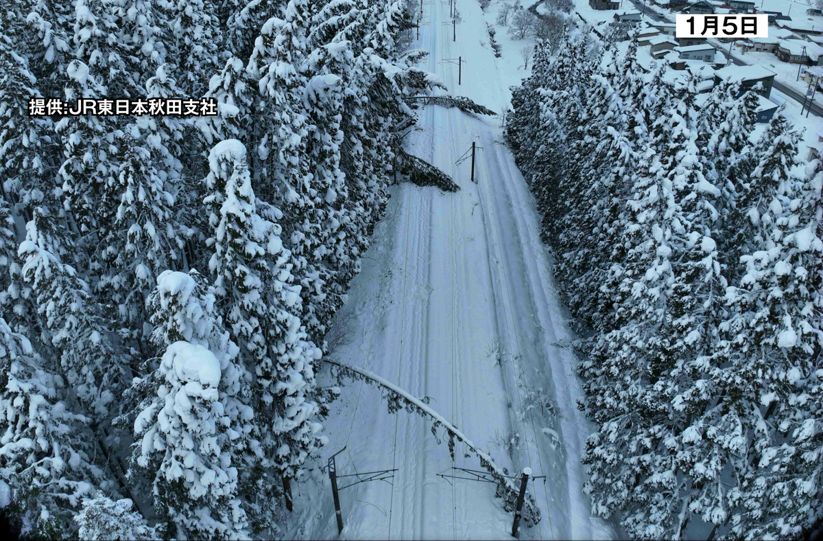 7日も大雪の影響で運休続く　線路には多数の倒木「復旧に時間要する」