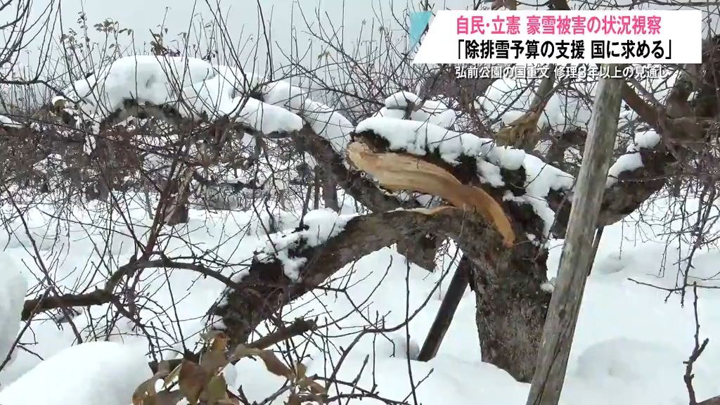 「しっかり予算を確保する」代議士たちが豪雪被害の状況を視察　除排雪予算や消雪剤、ガソリン代補助の支援を国に求める