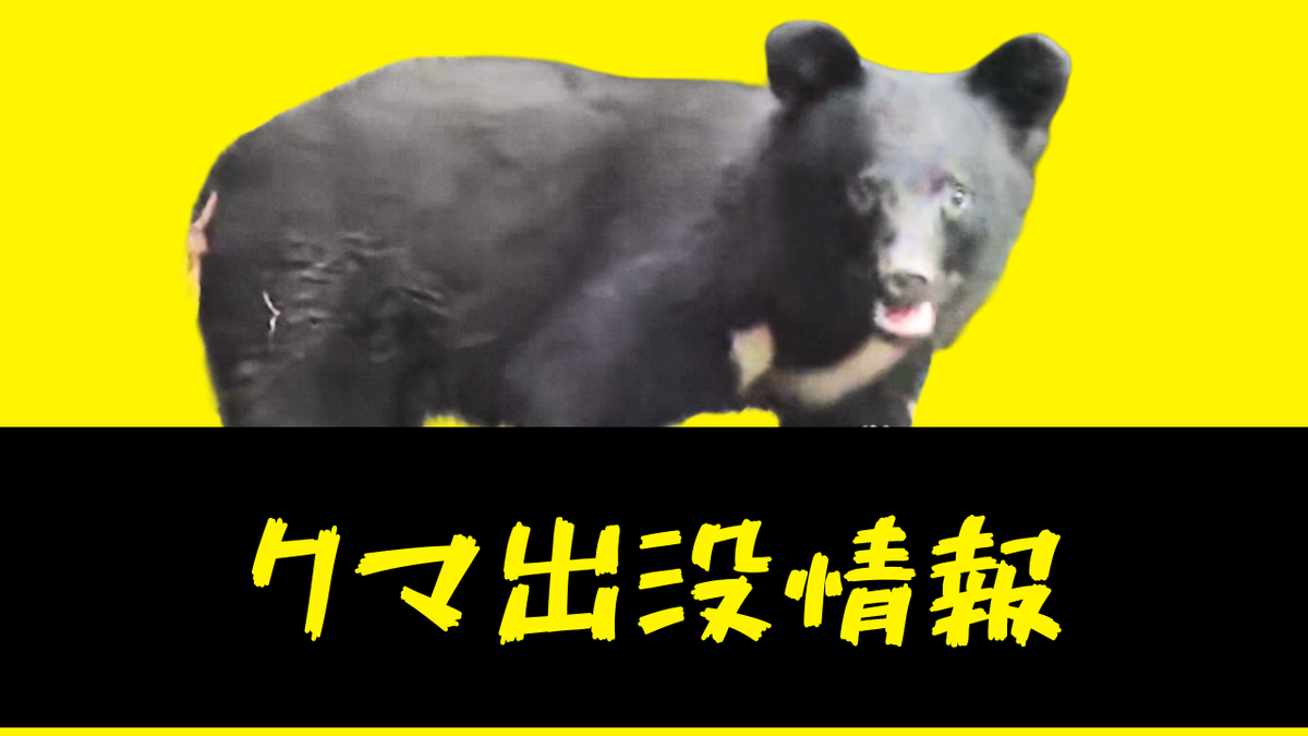 クマ出没情報】8月12日階上町と八戸市で目撃（2026年8月11日掲載