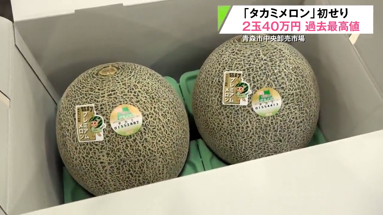 味はおいしいです」2玉40万円 過去最高値 「タカミメロン」初セリ 入荷