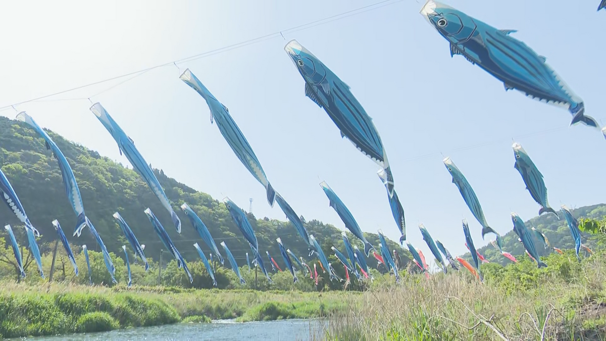 “こいのぼり”ならぬ“カツオのぼり” カツオの町・黒潮町佐賀で優雅に空を泳ぐ【高知】 