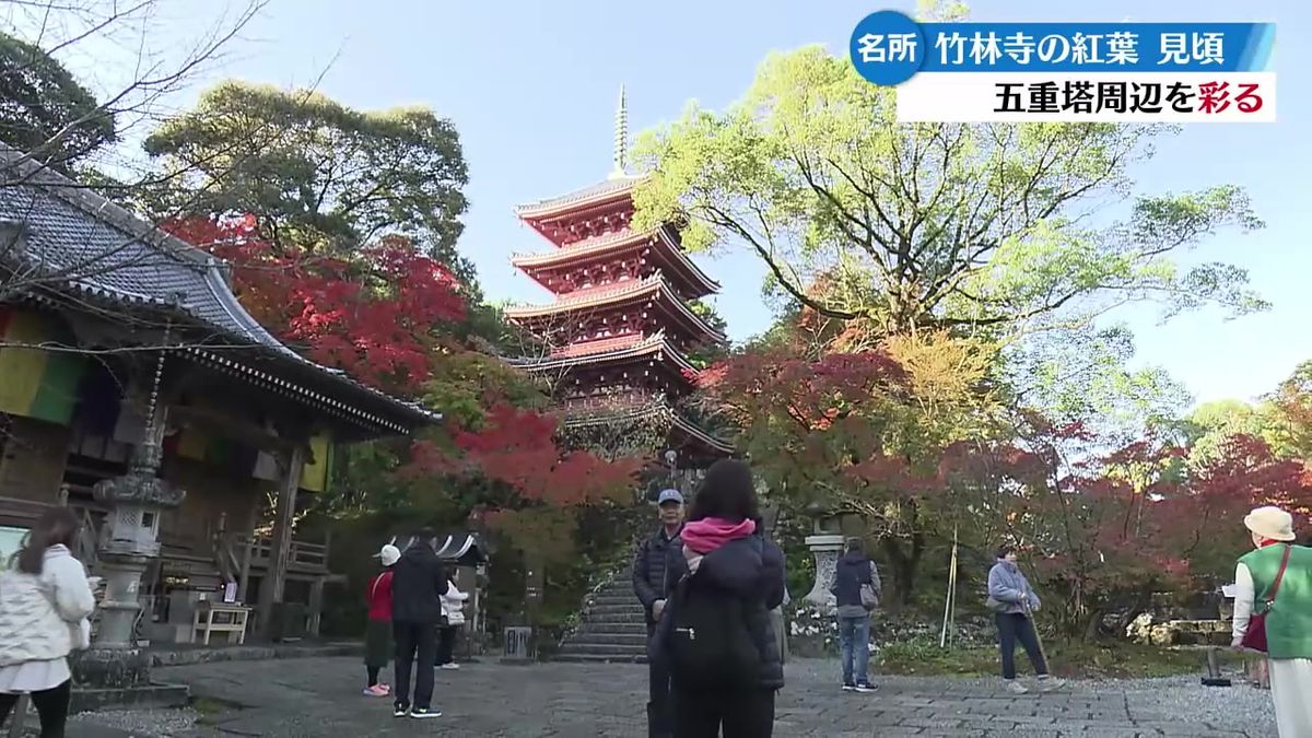 五台山・竹林寺で紅葉が見頃迎える 副住職『紅葉を見てリラックスしてほしい』【高知】