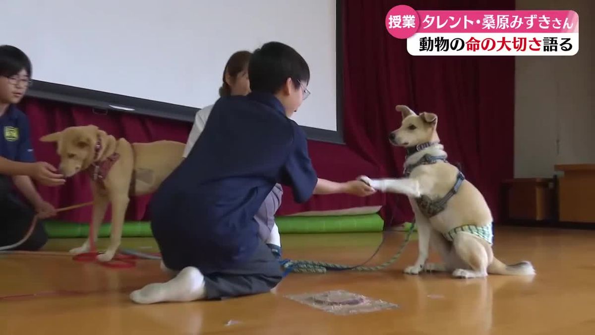《保護犬や保護猫を通じて命の大切さを学んで》桑原みずきさんが講演【高知】（2026年5月21日掲載）｜RKC NEWS NNN