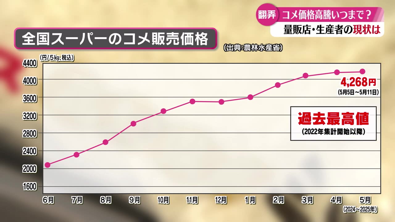 米版　天気　価格調査中 米版 天気 価格調査中 米版 天気 価格調査中 トレーディングカード