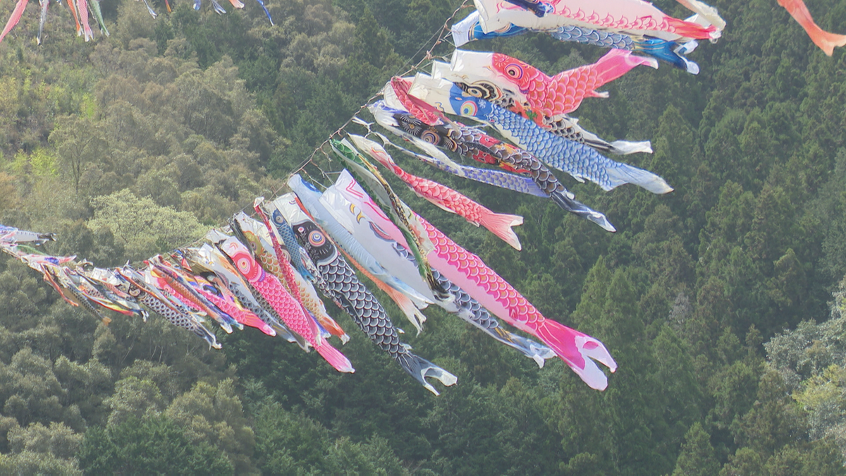 四万十川上空を泳ぐ500匹のこいのぼり 四万十町で『こいのぼりの川渡し』今年も開催【高知】