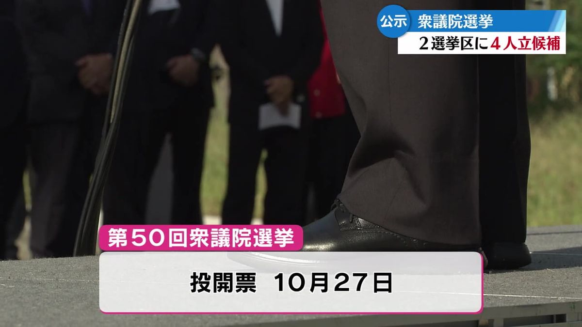 衆議院選挙公示 高知では2選挙区に4人が立候補【高知】