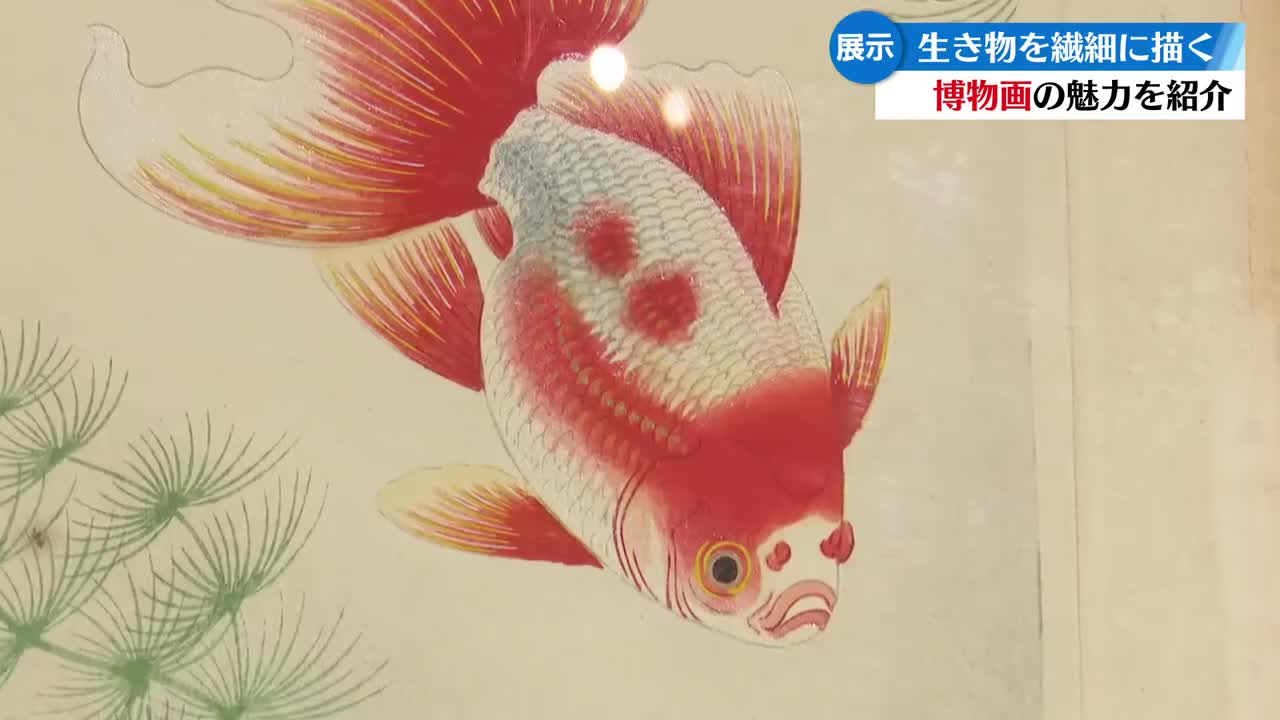 【真作】絵画　日本画　遊魚図　魚の群れを描いた静謐な和の作品　W76 真作】絵画 日本画 遊魚図 魚の群れを描いた静謐な和の