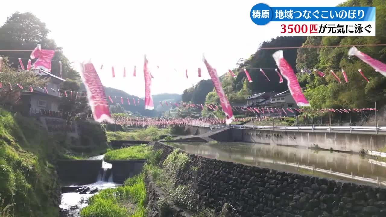 約3500匹の小さなこいのぼり 高知県梼原町の山里を彩る【高知】（2026