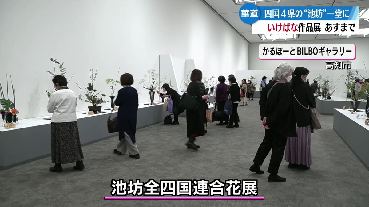 四国4県の華道家作品並ぶ池坊全四国連合花展が高知市かるぽーとで開催【高知】