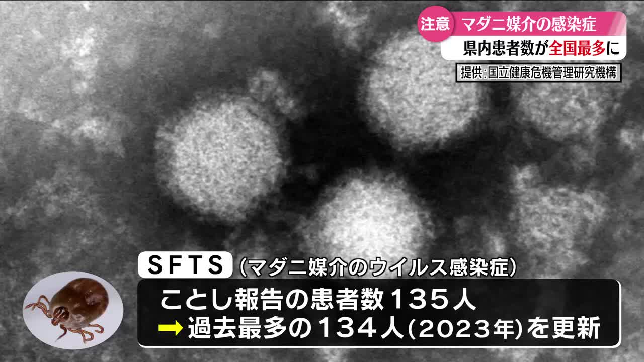 屍病污染 マダニが媒介する感染症『SFTS』 高知県が全国最多【高知】（2025年8月