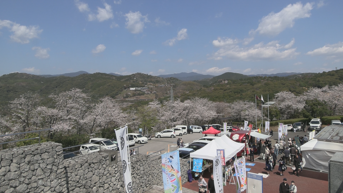 500本の桜の下でグルメや音楽を楽しむ　岡豊山の「さくらまつり」【高知】