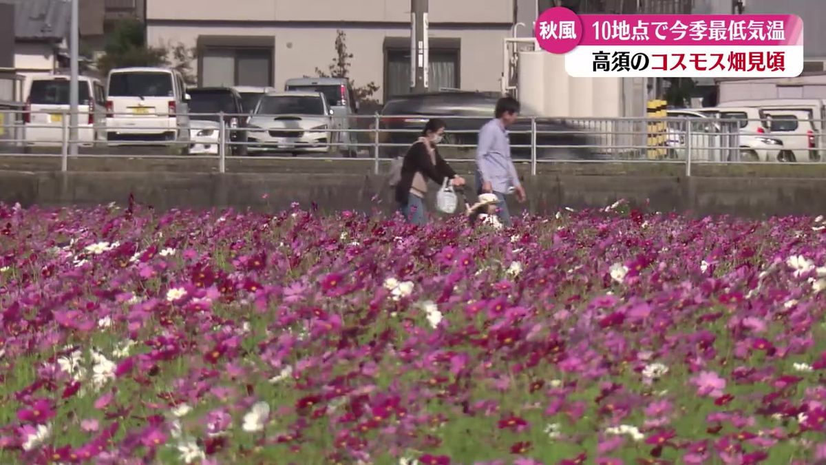 県内10地点で今季一番の寒さ 寒気の影響で気温下がる【高知】