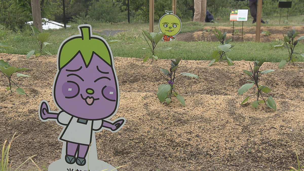 やなせたかしさんデザインの高知野菜のキャラクターが牧野植物園にお目見え【高知】