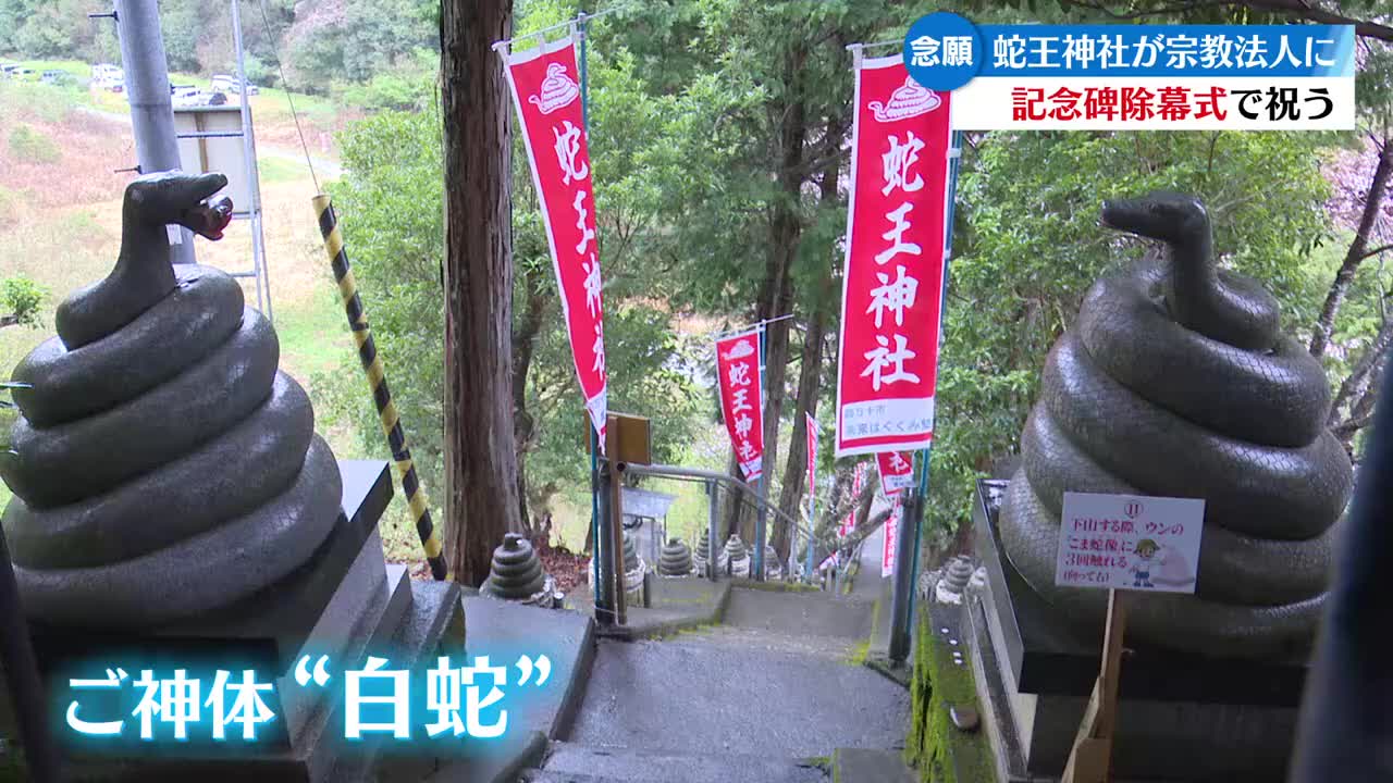 白蛇　御神体 念願叶い宗教法人に認証される 白蛇をご神体に祀る四万十市の蛇王神社