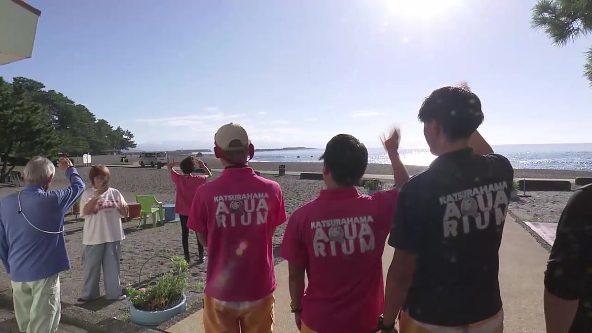 ハマスイのアシカの赤ちゃんお引越し 桂浜水族館から静岡県の伊豆・三津シーパラダイスへ【高知】