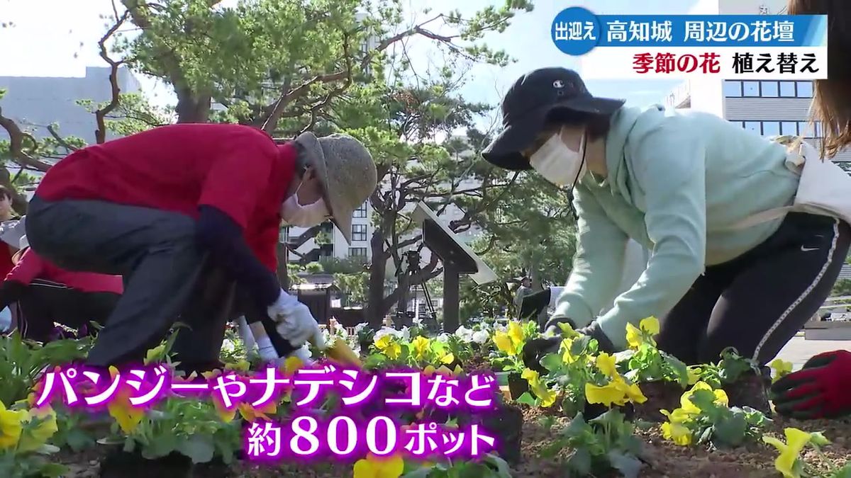 高知城を訪れる人たちを季節の花々で出迎え 周辺の花壇の植え替え作業【高知】