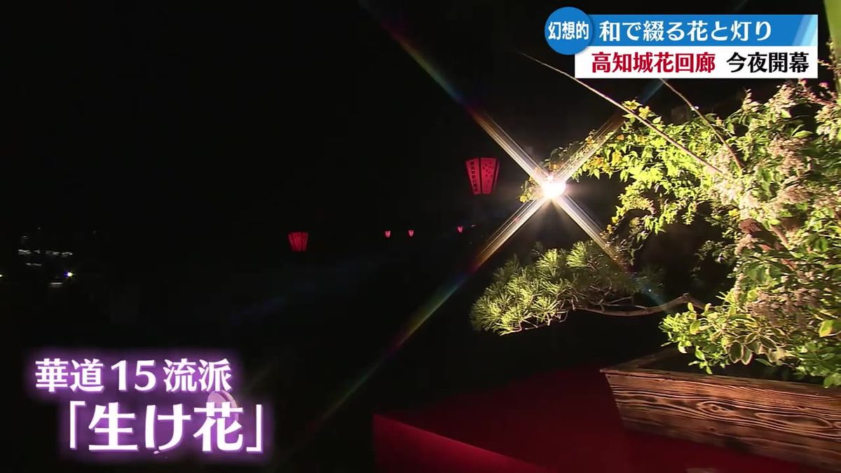 夜の高知城を彩る『高知城花回廊』 4日夜開幕【高知】