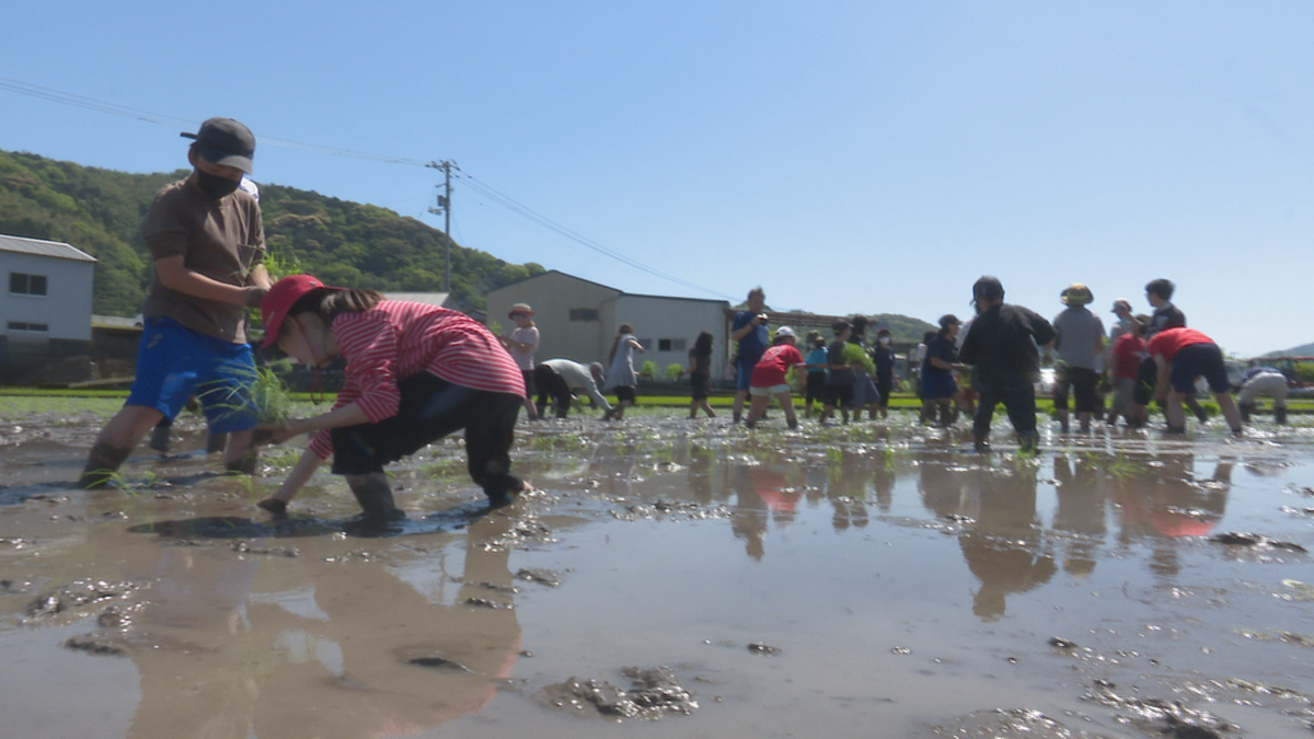 小学生などが田植えに挑戦 生産者の苦労や食の大切さを学ぶ【高知】