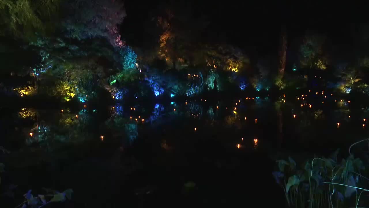 テーマは『フォレスト・ウエディング』土日祝日の夜限定!幻想的な光でモネの庭を彩るイベント開催中【高知】