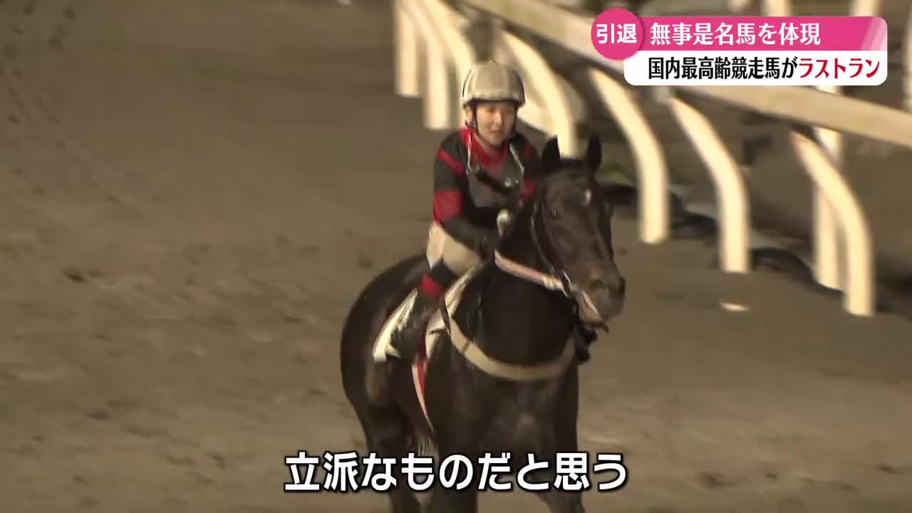 国内最高齢17歳の現役競走馬》ファンに愛されラストラン【高知】（2026