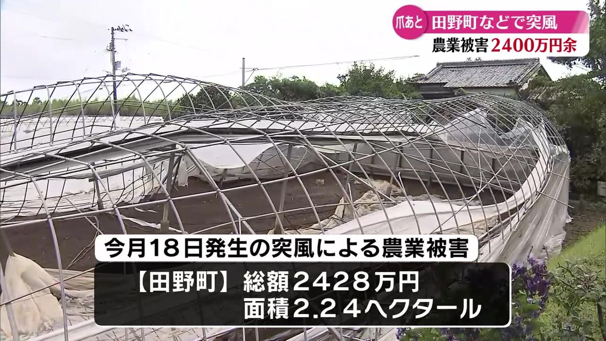 風速約50メートルと推定 田野町で発生した突風の最終被害額は約2400万円に【高知】