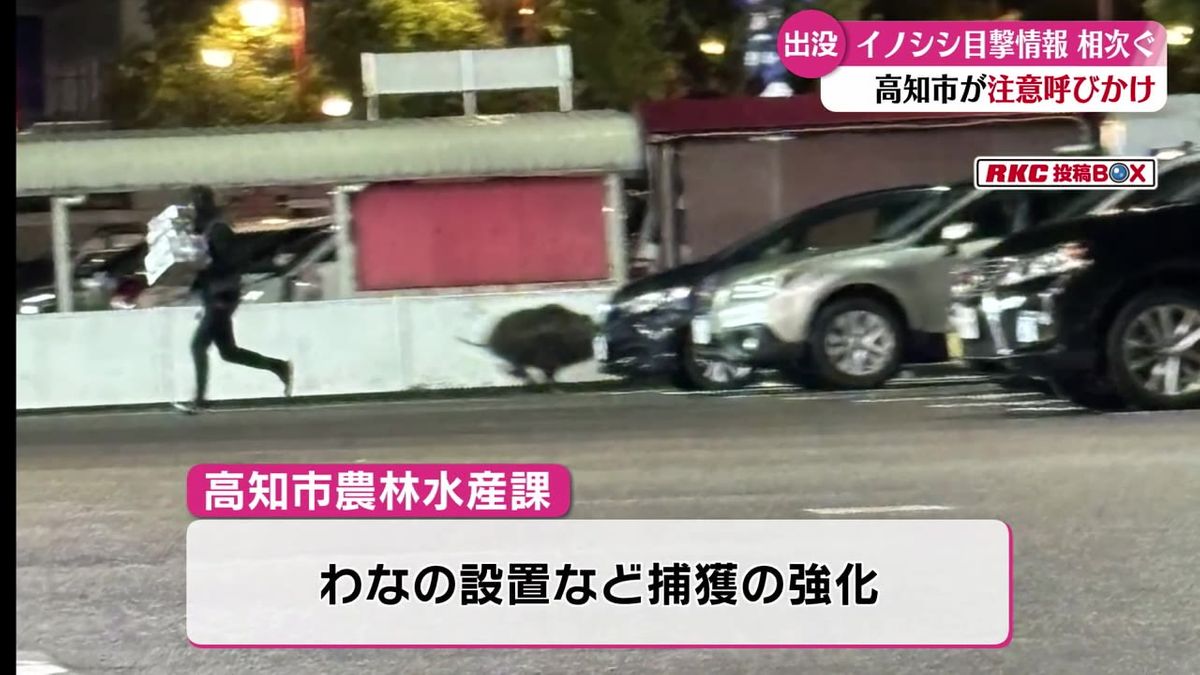 『見つけたら刺激せずに市などに連絡を』 高知市でイノシシの目撃情報相次ぐ【高知】