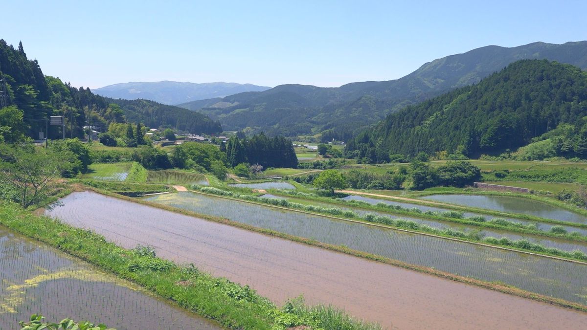 久万高原町発！トマト農家のこだわりグラノーラの魅力