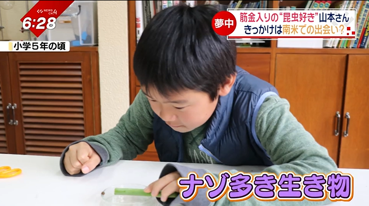 2ページ目 昆虫が好きすぎて…ムシになりたい！？オリジナルアイテムも