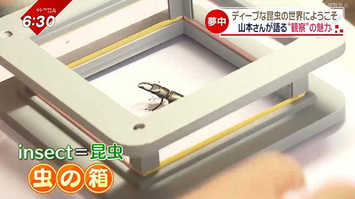 2ページ目 昆虫が好きすぎて…ムシになりたい！？オリジナルアイテムも