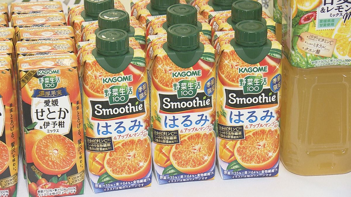 愛媛産のかんきつ「はるみ」を使ったスムージー 4月9日から全国で販売