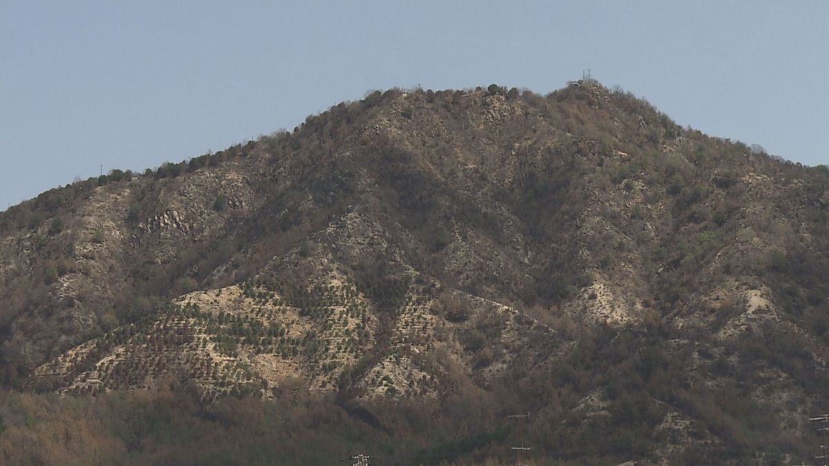 今治の山火事「山の貯水能力低下」で 専門家「土砂の流出や土砂崩れに警戒必要」と指摘