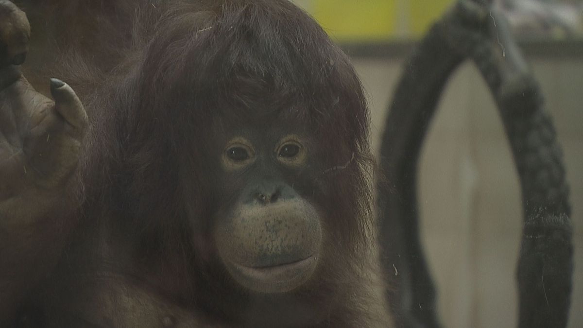 こどもの日】動物園で1日キーパー体験「怖かったけど楽しかった」大人 