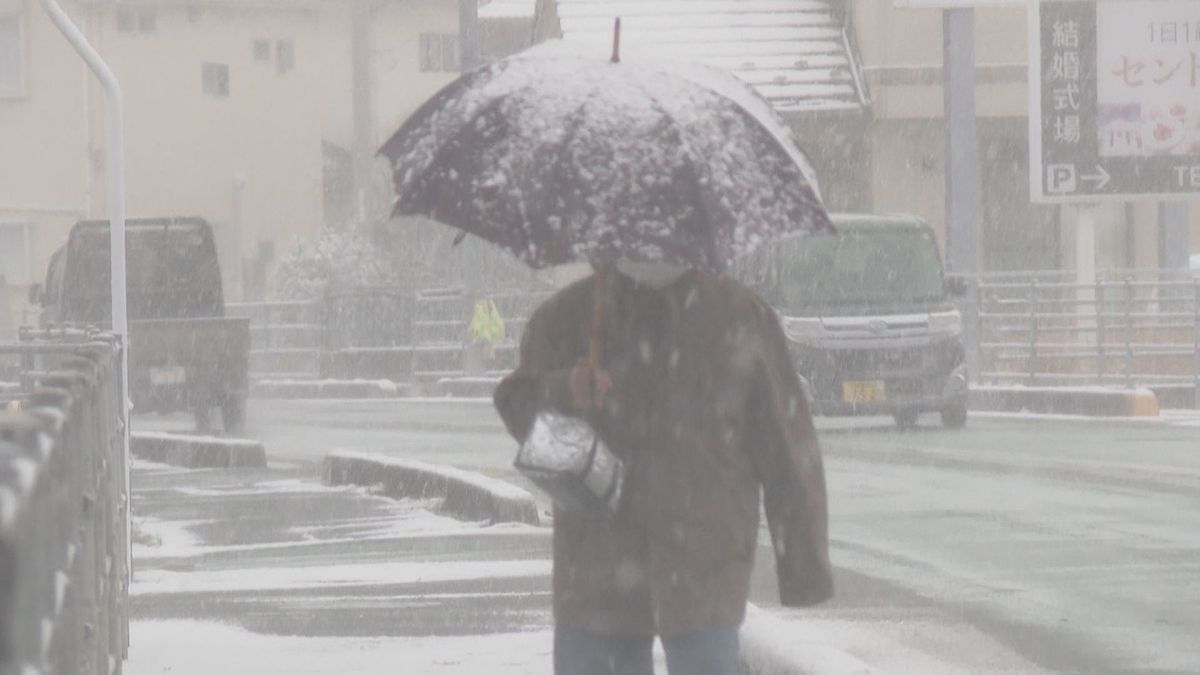 愛媛県内で今シーズン最強寒波 南予・中予で雪…農家は収穫控え心配も