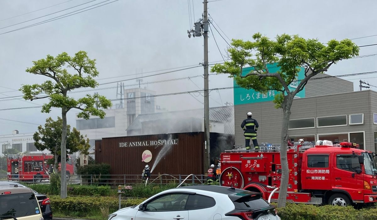 【速報】松山市の動物病院で酸素ボンベが爆発  1人が火傷