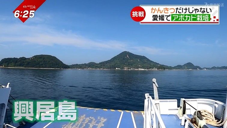 松山からフェリーで約15分の興居島