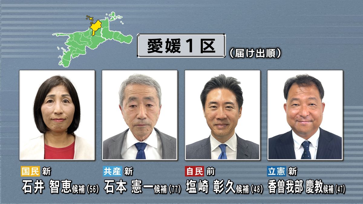 【衆院選】愛媛県内 各選挙区の最新情勢は