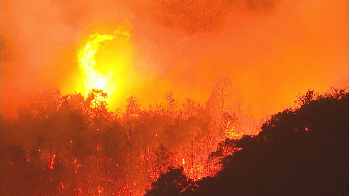 全国で2月から4月にかけ発生件数多く…春の山火事に注意！行楽シーズン気を付けることは