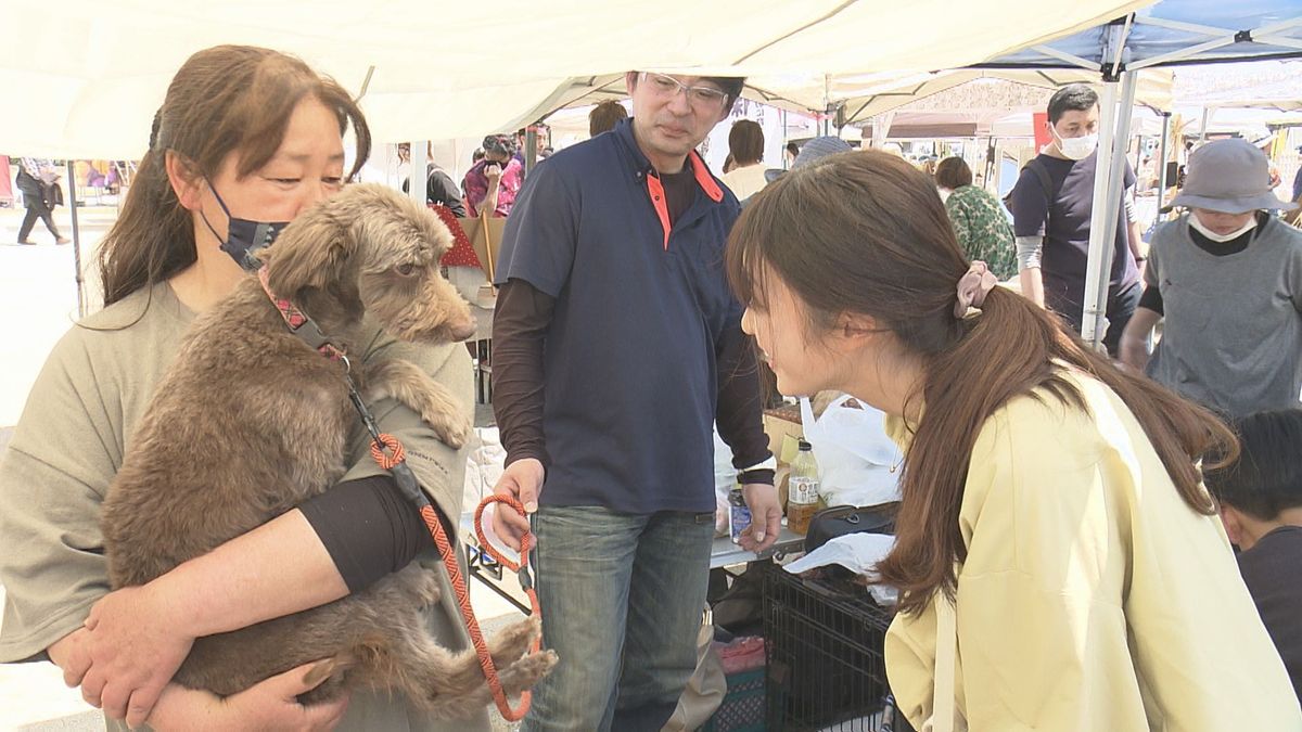 生き物の命の尊さを知って！松山市で保護犬・保護猫の譲渡会開催