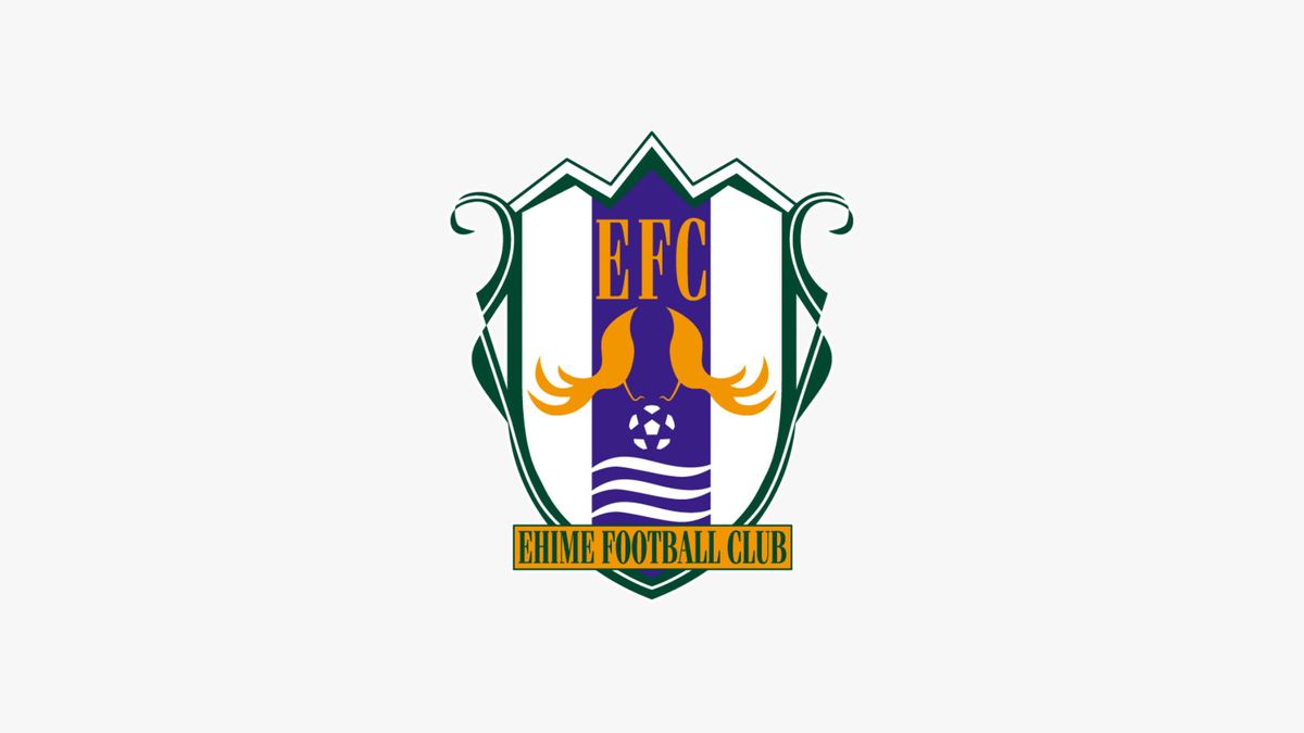 【J3】“伊予決戦”制し愛媛FCがリーグ優勝!J2復帰決める