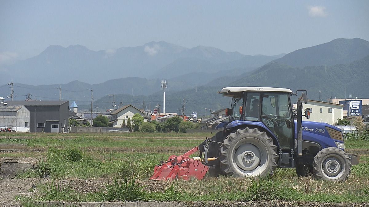 “麦から稲へ”移り変わる田園風景…東温市で見つけた初夏の味！麦芽糖を使ったアイスクリーム