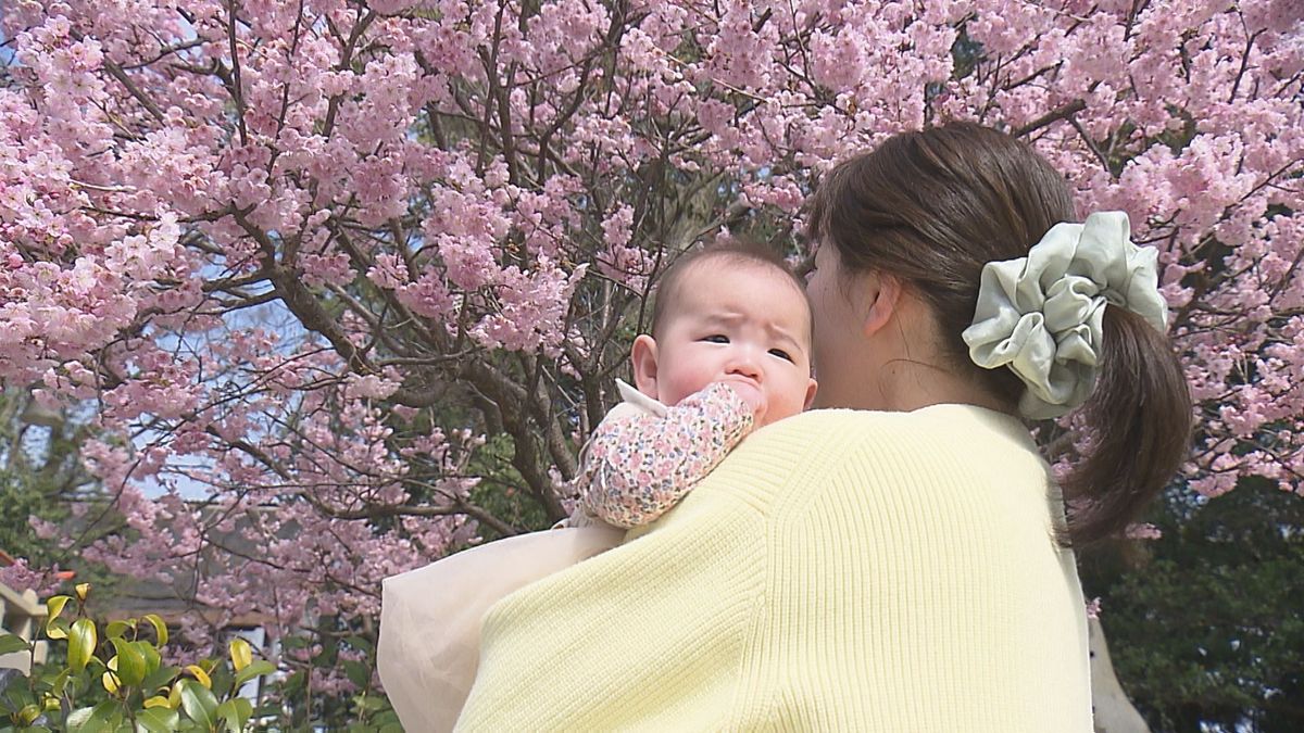 愛南や宇和島で最高気温20℃超え 春本番の暖かさに…愛媛県内各地から続々と春の便り