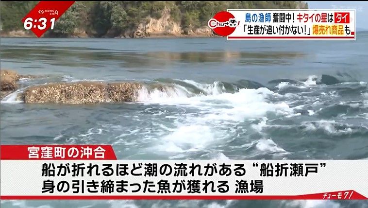 宮窪の沖合は激しい潮流育った魚が獲れる漁場